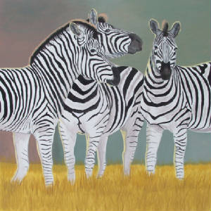 zebras2005.jpg